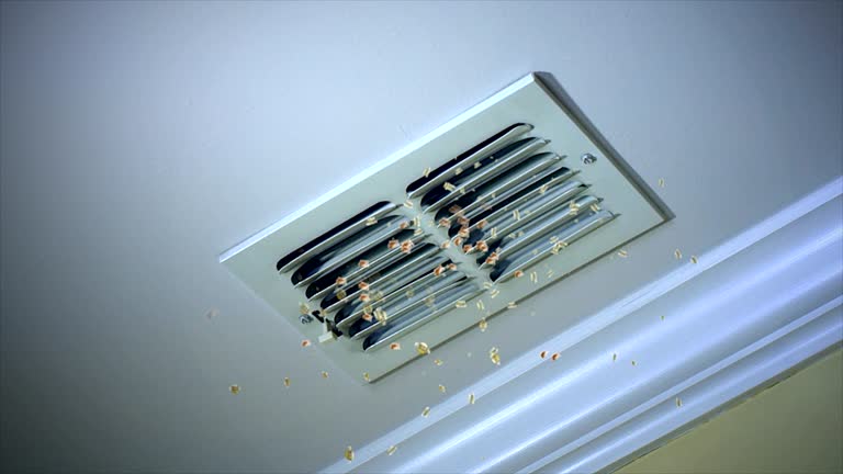 Best HVAC Duct Inspection Services  in Kissee Mills, MO